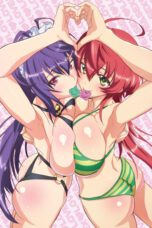 Baku Ane: Otouto Shibocchau zo! The Animation