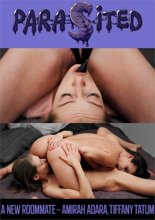 A New Roommate Free Full Porn Movies Online