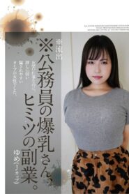 Yume – A Government Worker’s Side Gig