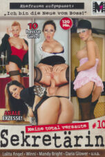 Meine total versaute Sekretärin 10