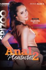 Anal Pleasures 2